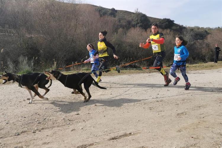 La Copa de España de Mushing Tierra en Villamanta reunió más de 200 deportistas