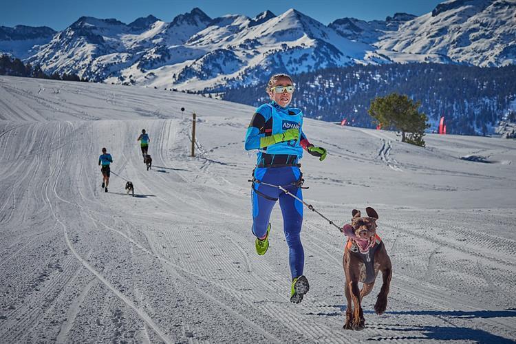 El mushing, una modalidad deportiva en auge, con muchos adeptos y triunfos en España