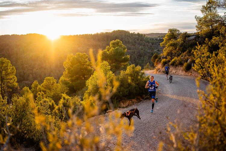 La primera prueba de la Copa de España Loterías de Mushing Tierra en la Pobla de Cèrvoles define los primeros líderes del circuito