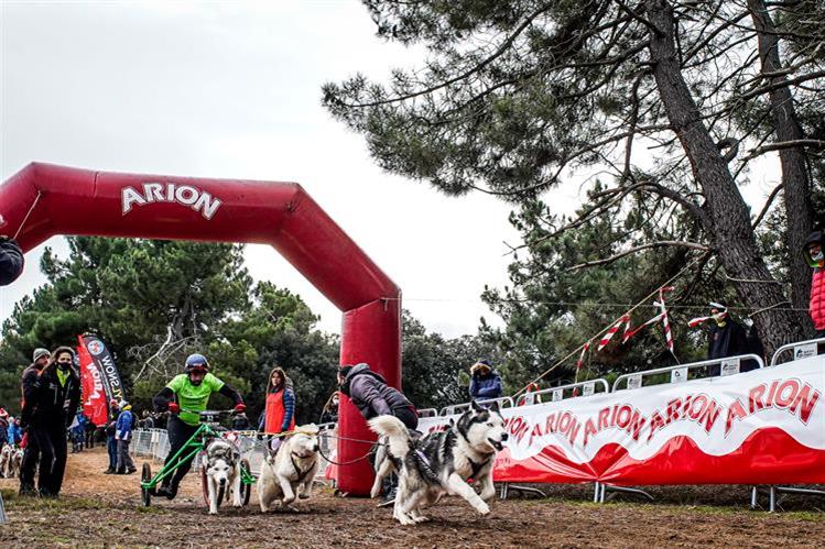 Campeonato de España Mushing Sprint Tierra Loterías en la prestigiosa prueba de Ólvega (Soria)