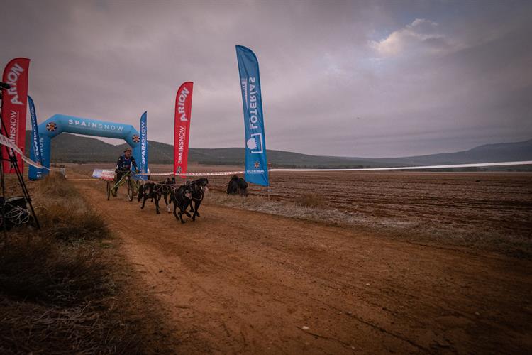 Resultados de los Campeonatos de España Mushing Sprint Tierra Loterías en Ólvega (Soria)