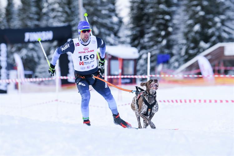 Campeonatos del Mundo de Mushing IFSS sprint y MD en nieve en Åsarna (Suecia) del 26 de febrero al 2 de marzo