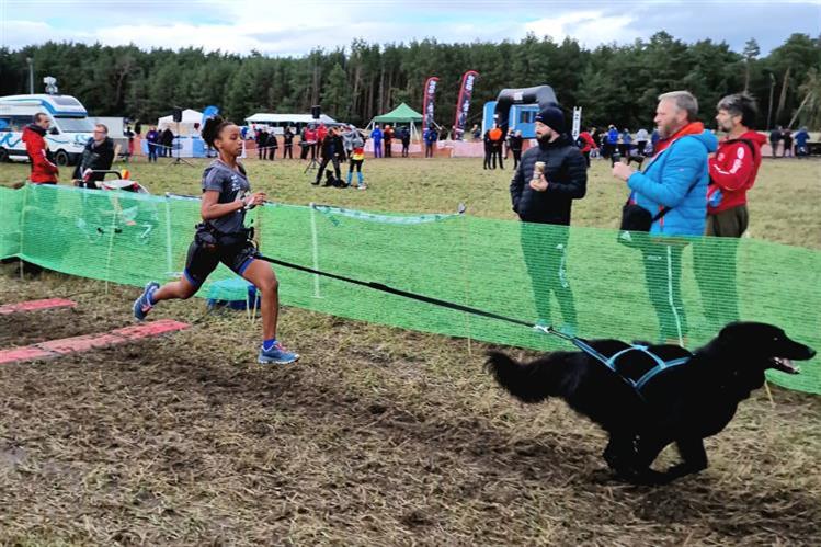 Éxito en el Mundial de Mushing ICF de Leipa con 5 medallas españolas