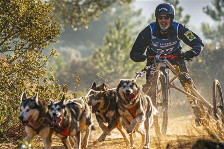 España acoge por primera vez el Campeonato del Mundo de Mushing IFSS