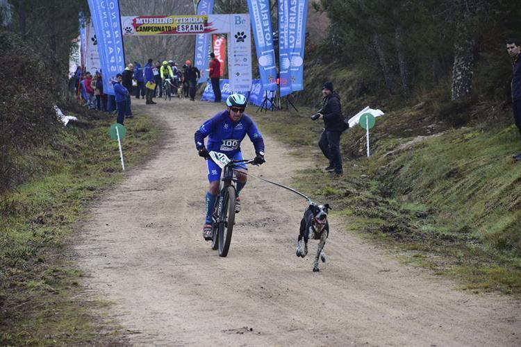 Gran asistencia y competitividad en el Campeonato de España Loterías de Mushing Tierra de Boborás