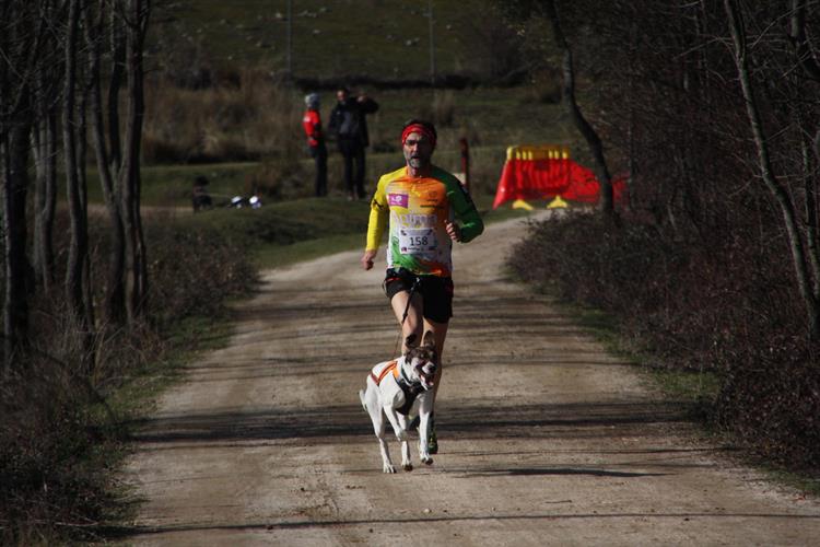 Celebrada la competición XI Mushing Moralzarzal, tercera cita del circuito Copa de España Loterías de Mushing Tierra 2019-20