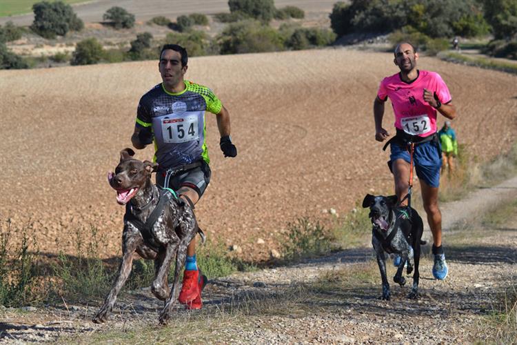 Resultados del circuito de Copa de España Loterías de Mushing Tierra