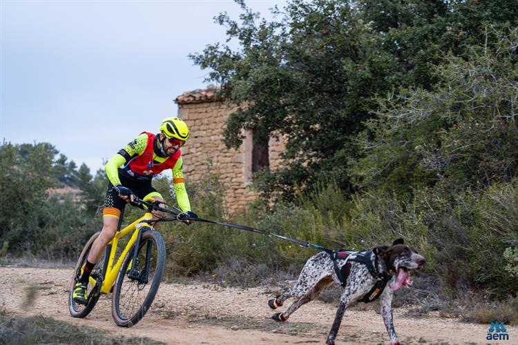 Todo un éxito la apertura de la Copa de España Mushing sobre Tierra