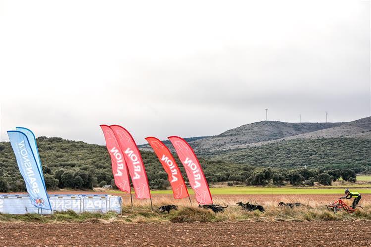 Éxito en los Campeonato de España Mushing sobre tierra Sprint y Media Distancia en Ólvega