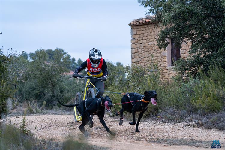 Más de 150 participantes en la prueba de Copa de España Mushing sobre tierra Sprint en Alcalá de Guadaira