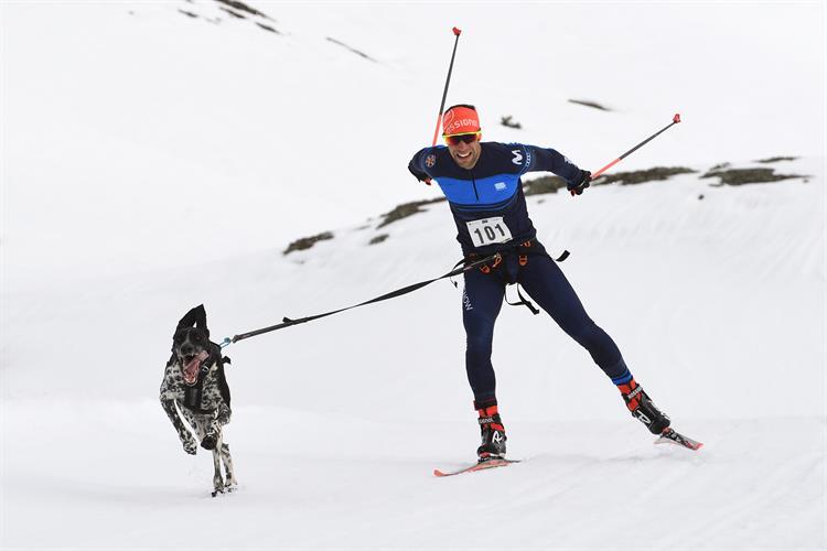 Los mejores mushers españoles participan en los Campeonatos de España sobre nieve Sprint en Baqueira Beret