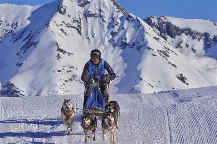 Los Campeonatos de España Sprint de mushing sobre nieve en Baqueira Beret reúne a los mejores deportistas con sus perros