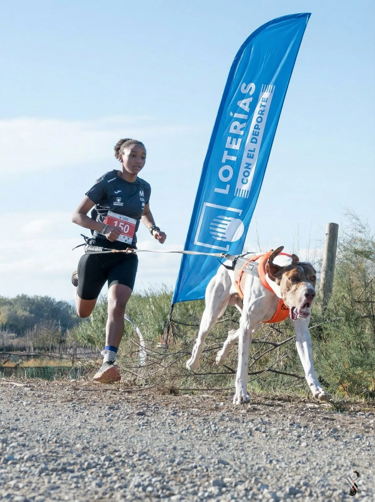 Loterías patrocinará la concentración de la presentación de los Equipos Nacionales de Mushing